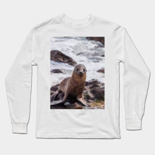 Sea Lion on the Shore Long Sleeve T-Shirt